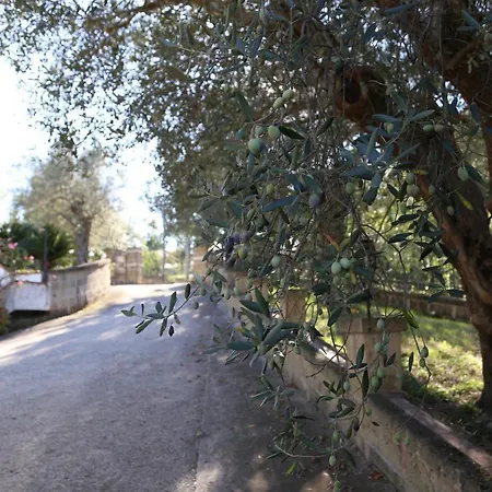 La Masseria Pietramarmo - App To Con Vista *