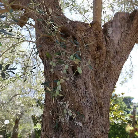 La Masseria Pietramarmo - App To Con Vista *