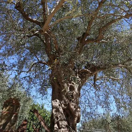 La Masseria Pietramarmo - App To Con Vista Apartment Caiazzo