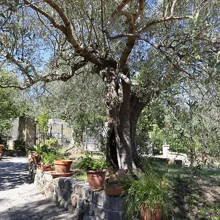 La Masseria Pietramarmo - App To Con Vista *