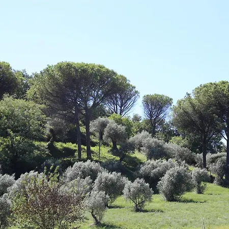 La Masseria Pietramarmo - App To Con Vista